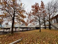 Sujuv sügisene jahtide väljatõstmine