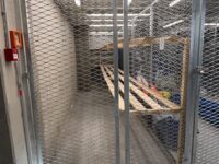 Suur runduk 7.9m2 otsib uusi üürilisi või kaasüürilist